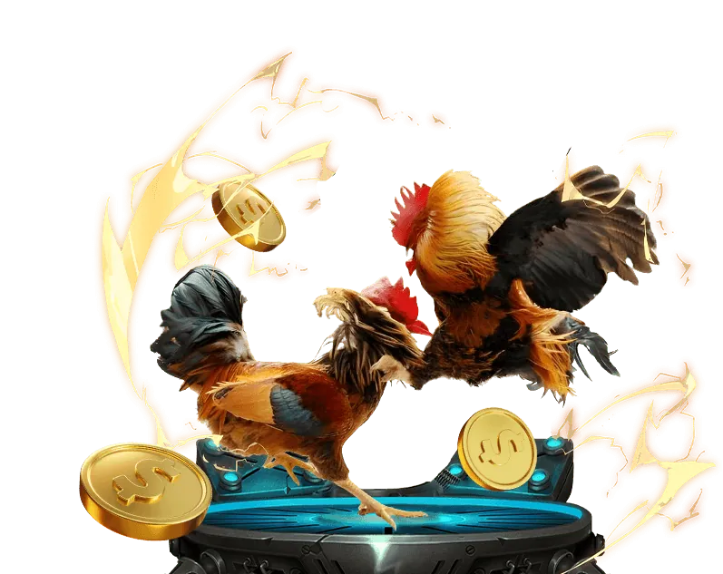 Cá cược thể thao 99k win55